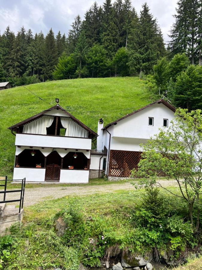 Casuta De Langa Padure Hotel Moeciu De Sus Luaran gambar