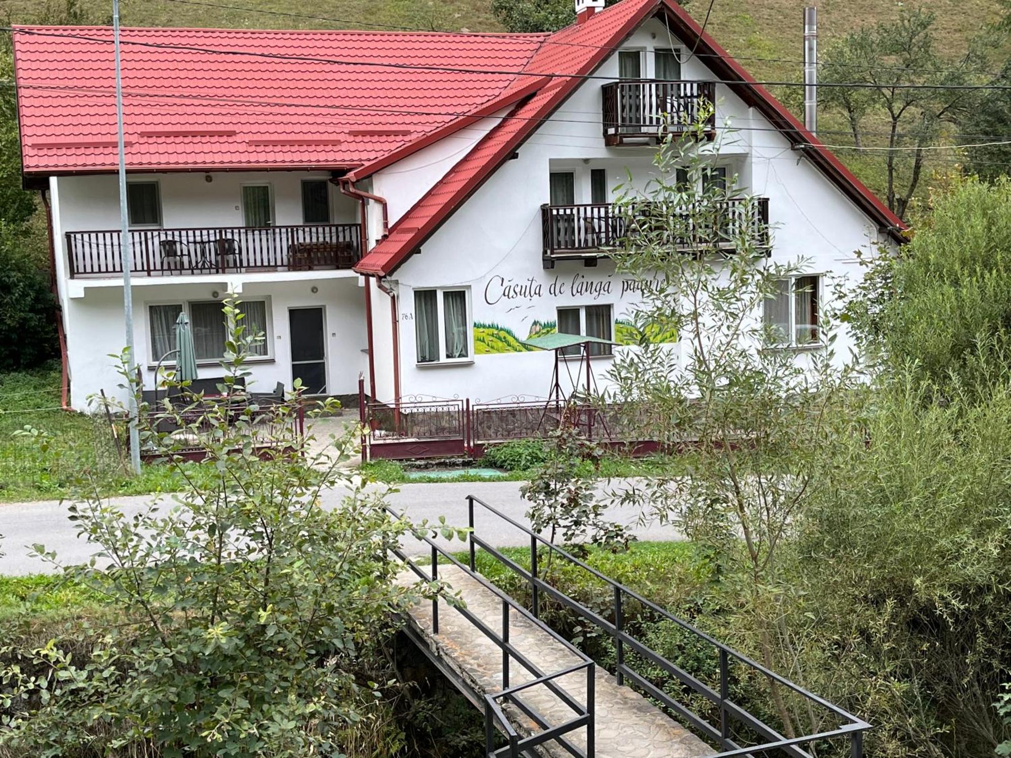 Casuta De Langa Padure Hotel Moeciu De Sus Luaran gambar