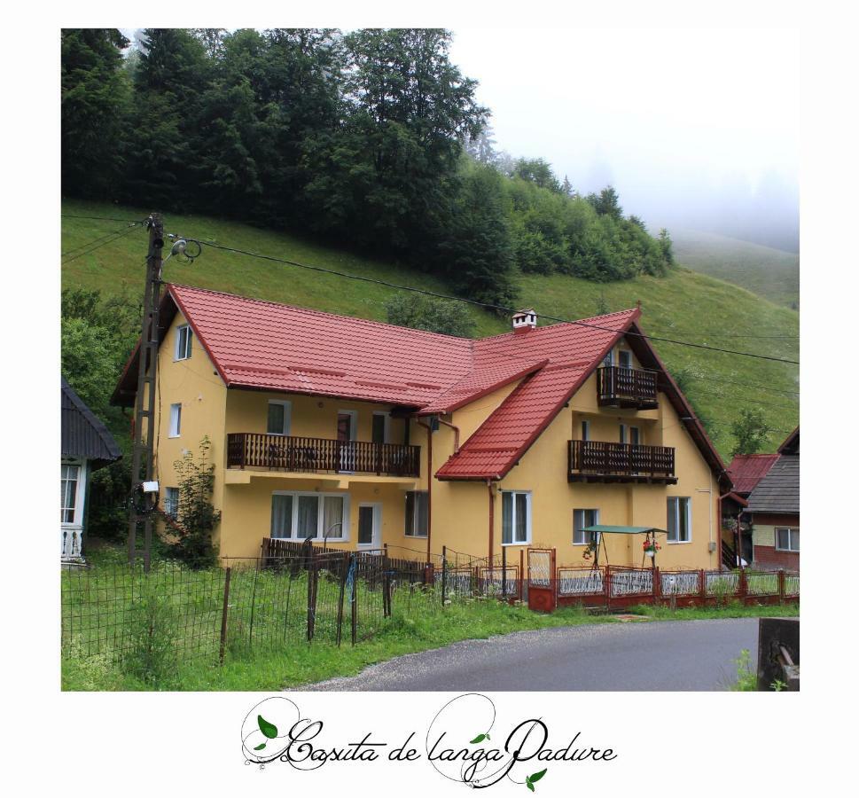 Casuta De Langa Padure Hotel Moeciu De Sus Luaran gambar